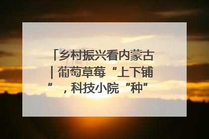 乡村振兴看内蒙古｜葡萄草莓“上下铺”，科技小院“种”出三倍效益