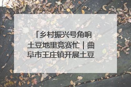 乡村振兴号角响 土豆地里竞赛忙｜曲阜市王庄镇开展土豆收获劳动竞赛