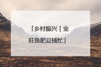 乡村振兴｜业旺鱼肥夏捕忙