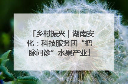 乡村振兴｜湖南安化：科技服务团“把脉问诊”水果产业