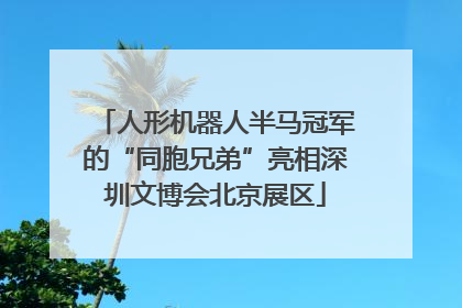 人形机器人半马冠军的“同胞兄弟”亮相深圳文博会北京展区