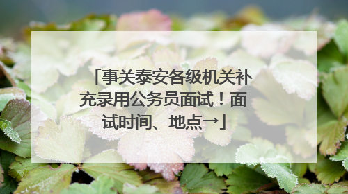事关泰安各级机关补充录用公务员面试！面试时间、地点→