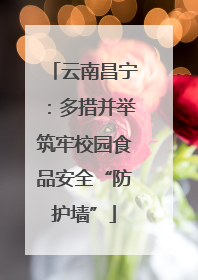 云南昌宁：多措并举筑牢校园食品安全“防护墙”