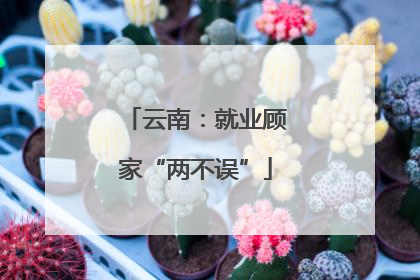云南：就业顾家“两不误”