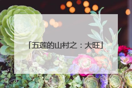 五莲的山村之：大旺