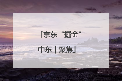 京东“掘金”中东｜聚焦