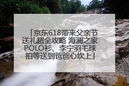 京东618带来父亲节送礼超全攻略 海澜之家POLO衫、李宁羽毛球拍等送到爸爸心坎上