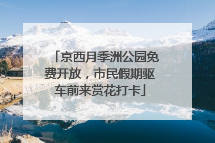 京西月季洲公园免费开放，市民假期驱车前来赏花打卡
