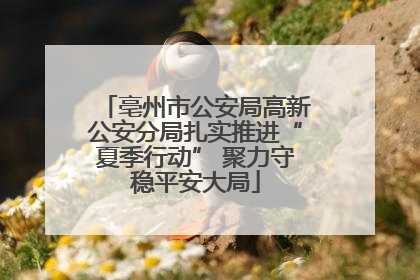 亳州市公安局高新公安分局扎实推进“夏季行动” 聚力守稳平安大局