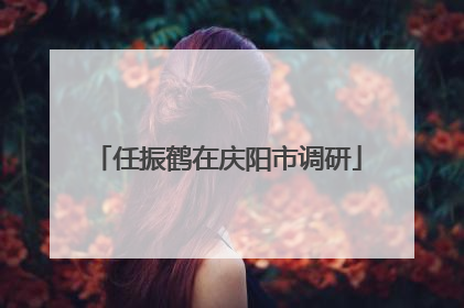 任振鹤在庆阳市调研