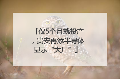 仅5个月就投产，贵安再添半导体显示“大厂”