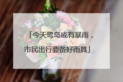 今天鹭岛或有暴雨，市民出行要备好雨具