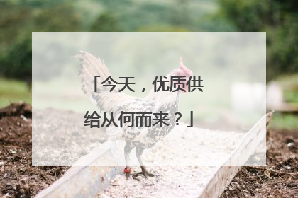 今天，优质供给从何而来？