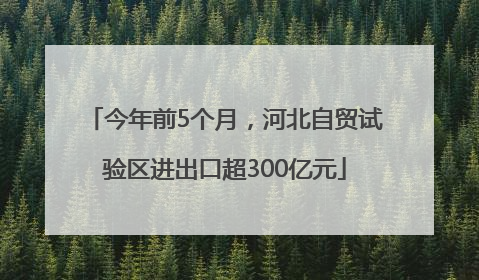 今年前5个月，河北自贸试验区进出口超300亿元