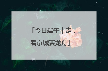 今日端午｜走，看京城赛龙舟