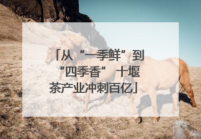 从“一季鲜”到“四季香” 十堰茶产业冲刺百亿