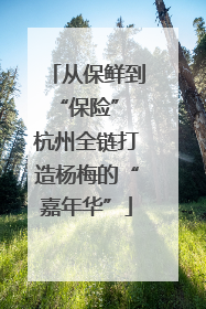 从保鲜到“保险” 杭州全链打造杨梅的“嘉年华”