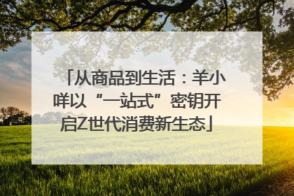 从商品到生活：羊小咩以“一站式”密钥开启Z世代消费新生态