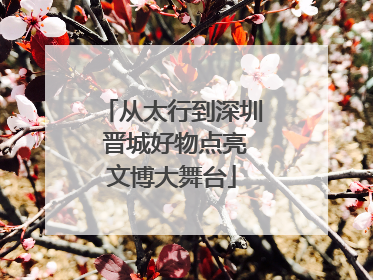 从太行到深圳 晋城好物点亮文博大舞台