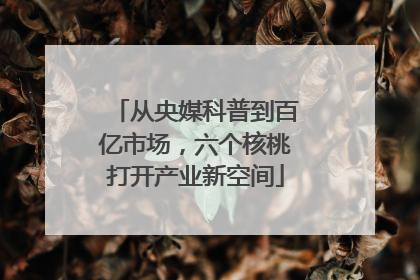 从央媒科普到百亿市场，六个核桃打开产业新空间
