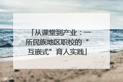 从课堂到产业：一所民族地区职校的“互嵌式”育人实践