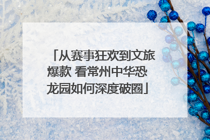 从赛事狂欢到文旅爆款 看常州中华恐龙园如何深度破圈
