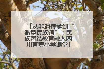 从非遗传承到“微型民族馆”：民族团结教育融入四川宜宾小学课堂