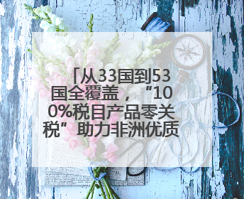 从33国到53国全覆盖，“100%税目产品零关税”助力非洲优质商品入华
