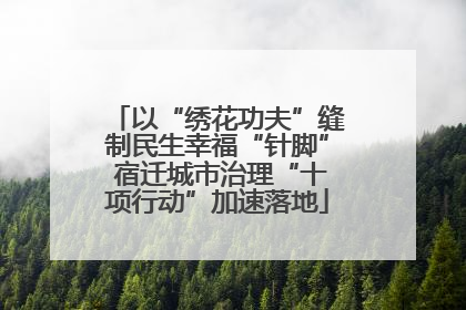 以“绣花功夫”缝制民生幸福“针脚” 宿迁城市治理“十项行动”加速落地