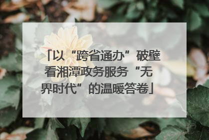以“跨省通办”破壁 看湘潭政务服务“无界时代”的温暖答卷