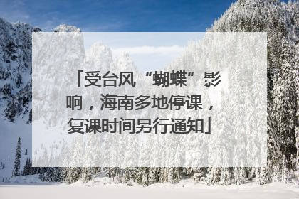 受台风“蝴蝶”影响,海南多地停课,复课时间另行通知
