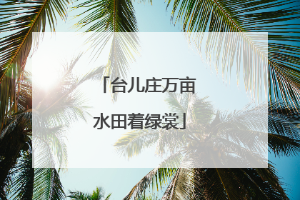台儿庄万亩水田着绿裳