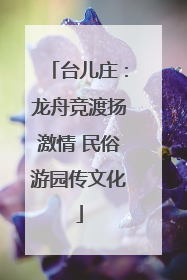 台儿庄：龙舟竞渡扬激情 民俗游园传文化