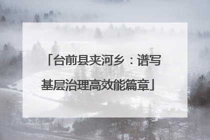 台前县夹河乡：谱写基层治理高效能篇章