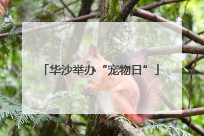 华沙举办“宠物日”