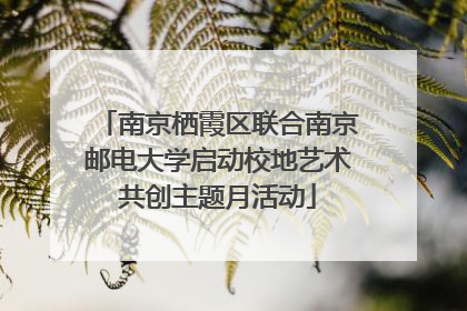 南京栖霞区联合南京邮电大学启动校地艺术共创主题月活动