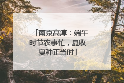 南京高淳：端午时节农事忙，夏收夏种正当时