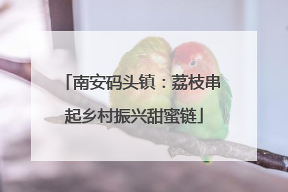 南安码头镇：荔枝串起乡村振兴甜蜜链