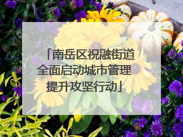 南岳区祝融街道全面启动城市管理提升攻坚行动