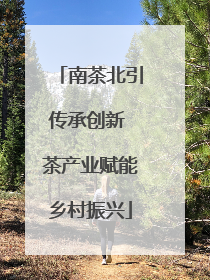 南茶北引传承创新 茶产业赋能乡村振兴