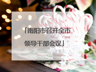 南阳市召开全市领导干部会议