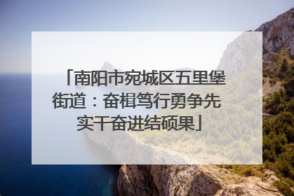 南阳市宛城区五里堡街道：奋楫笃行勇争先 实干奋进结硕果