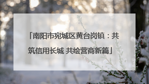 南阳市宛城区黄台岗镇：共筑信用长城 共绘营商新篇