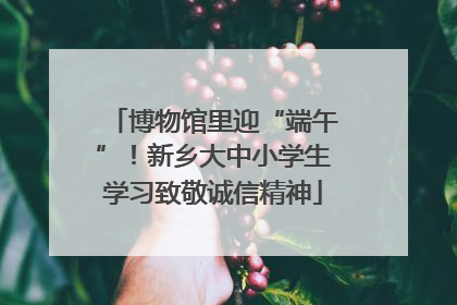 博物馆里迎“端午”！新乡大中小学生学习致敬诚信精神