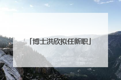 博士洪欣拟任新职