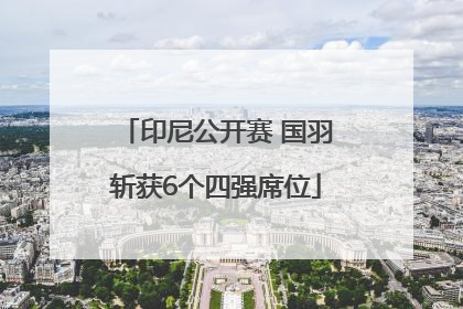 印尼公开赛 国羽斩获6个四强席位
