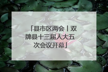 县市区两会丨双牌县十三届人大五次会议开幕