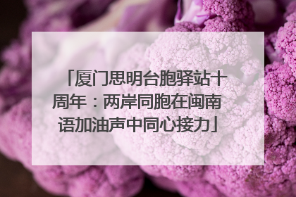 厦门思明台胞驿站十周年：两岸同胞在闽南语加油声中同心接力