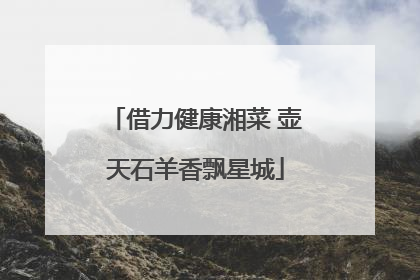 借力健康湘菜 壶天石羊香飘星城