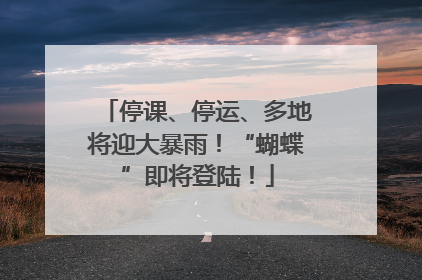 停课、停运、多地将迎大暴雨！“蝴蝶”即将登陆！